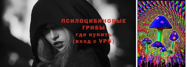 амф Медногорск