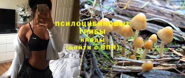 амф Медногорск