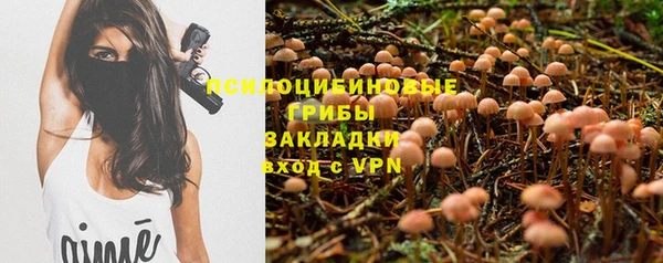 стаф Навашино