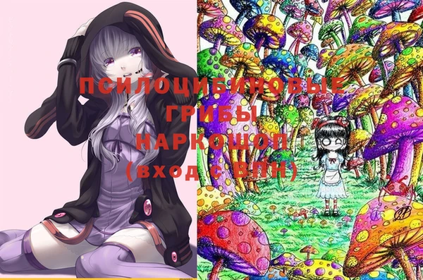 ПСИЛОЦИБИНОВЫЕ ГРИБЫ Медвежьегорск