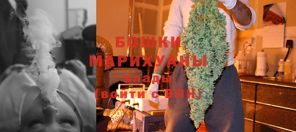 ПСИЛОЦИБИНОВЫЕ ГРИБЫ Медвежьегорск
