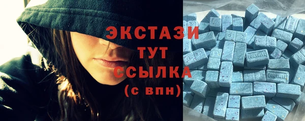 дживик Мегион