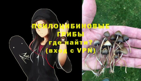 амф Медногорск