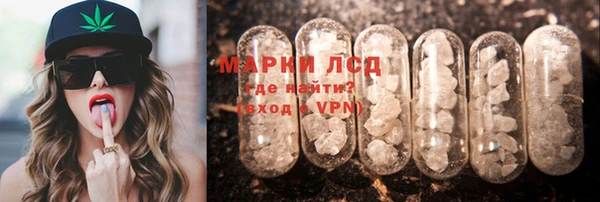 ПСИЛОЦИБИНОВЫЕ ГРИБЫ Медвежьегорск
