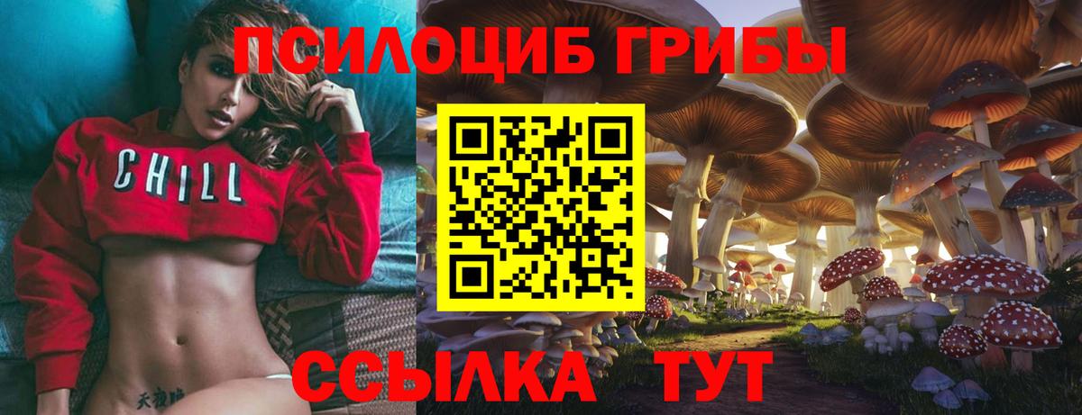 Галлюциногенные грибы MAGIC MUSHROOMS  Северск 