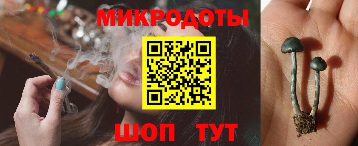 Северск  Псилоцибиновые грибы Psilocybe  Вход с VPN  Галлюциногенные грибы прущие грибы 