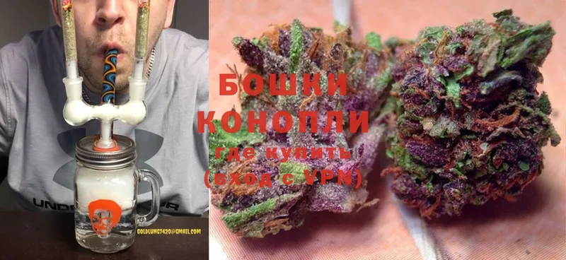 KRAKEN   Северск  Бошки марихуана индика 